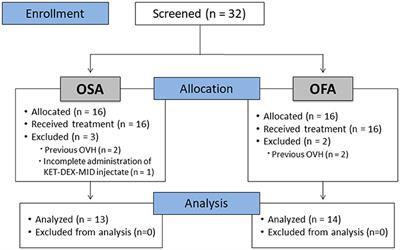 A randomized, prospective, masked clinical trial comparing an opioid-free vs. opioid-sparing anesthetic technique in adult cats undergoing ovariohysterectomy